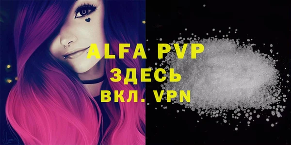 СК Снежногорск