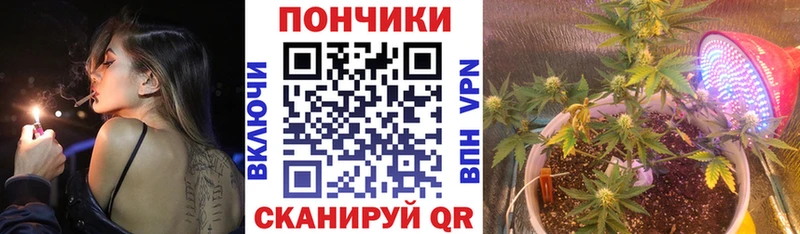 Купить где  Кочубеевское  Канабис AK-47